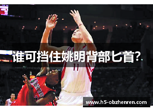 谁可挡住姚明背部匕首？